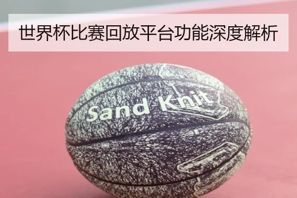 世界杯比赛回放平台功能深度解析