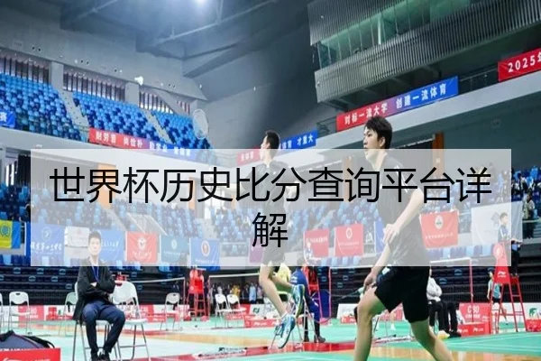 世界杯历史比分查询平台详解