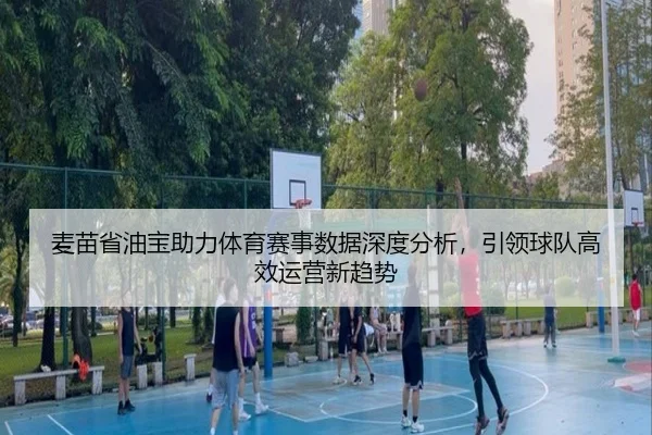 麦苗省油宝助力体育赛事数据深度分析，引领球队高效运营新趋势