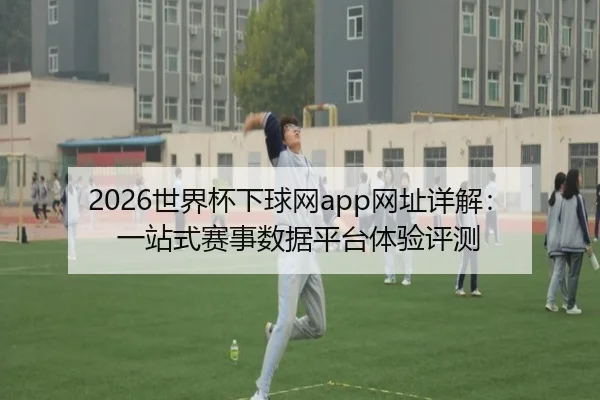 2026世界杯下球网app网址详解：一站式赛事数据平台体验评测