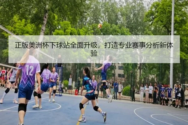 正版美洲杯下球站全面升级，打造专业赛事分析新体验